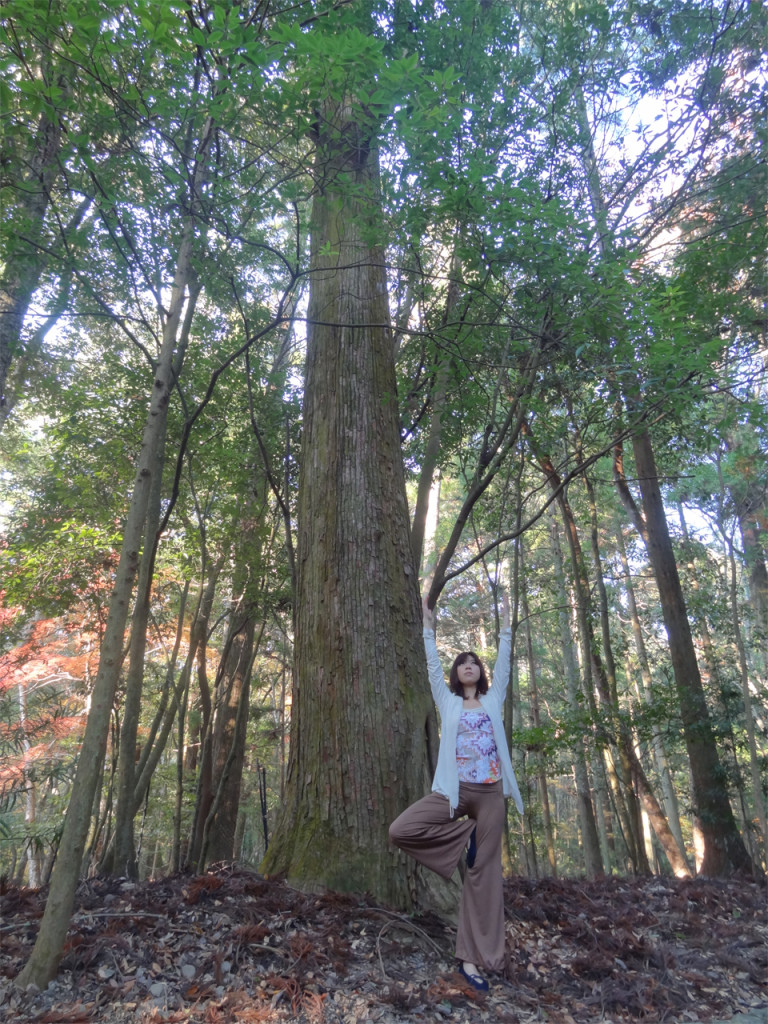 北区・田端 荒川区・尾久 文京区周辺 imacoco yoga imacocoyoga ヨガ