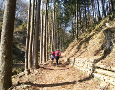 久々のトレイルランニング