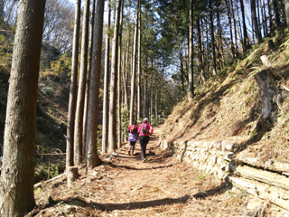 トレイルラン大会試走