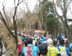 今月のレース　青梅高水山トレイルラン