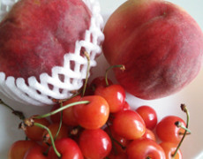 色んないただきもの