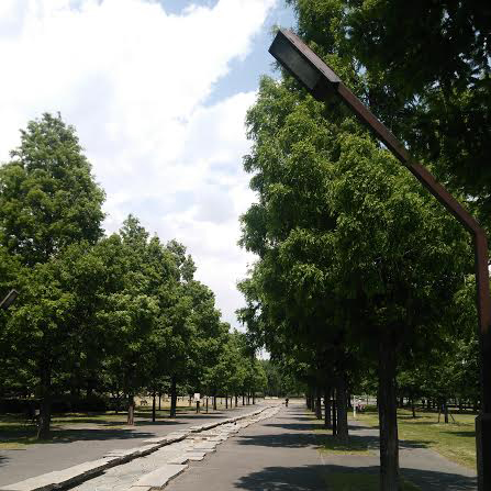 北区・田端　荒川区・尾久　文京区周辺 imacocoyoga imacoco ヨガ 北区新町コミュニティアリーナ