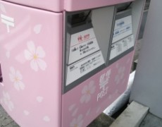 ヨガとお散歩の週末