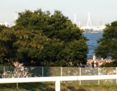 一大イベントYoga Fest Yokohama 2014