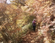 第１回　草津温泉フォトロゲイニング