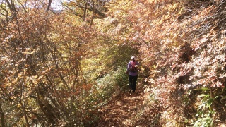 草津フォトロゲ 白根山下山