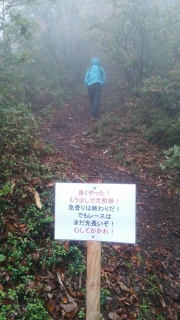 斑尾トレイル 斑尾山登り