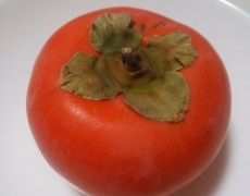 カラダの中から潤す旬の食べ物