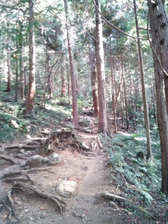つくば山登山道