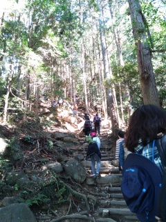 つくば山登山道2