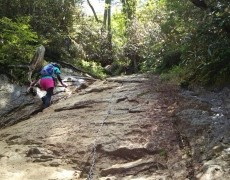 登山レポート☆金峰山