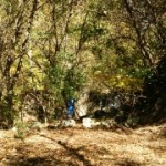 秋山　大菩薩岳１