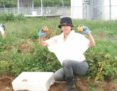 じゃがいも掘り in 茨城