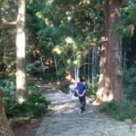 %e7%86%8a%e9%87%8e%ef%bc%91%ef%bc%9120161106_p