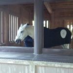 %e4%bc%8a%e5%8b%a2%ef%bc%9720161104_p